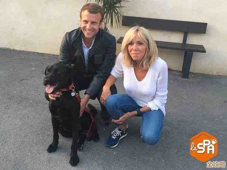 紧急提示：请高度重视个人信息安全，及时检查并更新您的账户保护设置