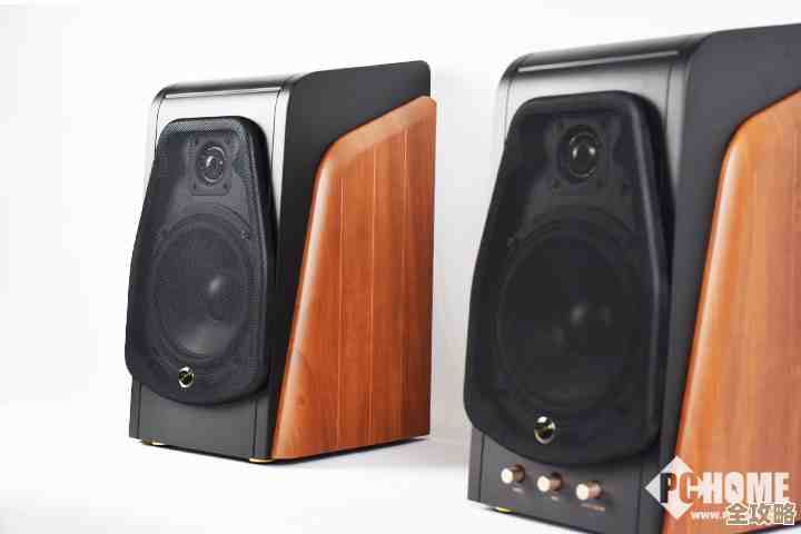 LAX音响为您呈现纯净音质，让每一刻聆听都成为奢华享受