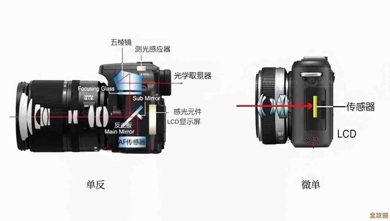 微单 vs 单反:从成像原理到操作体验的全面解析 微单 vs 单反:从成像原理到操作体验的全面解析