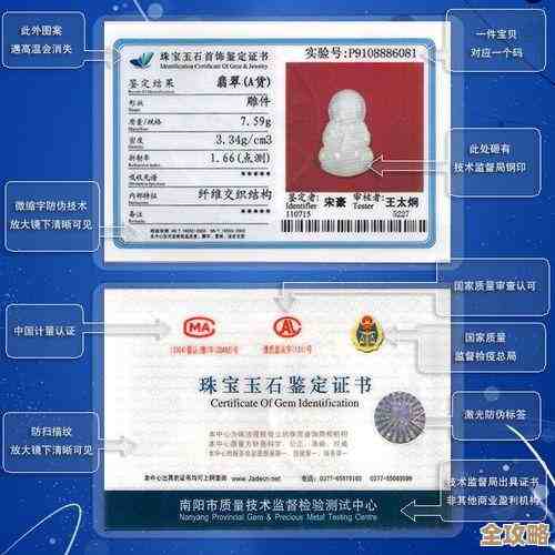 tc的含义是什么？详细解析这一常见缩写词