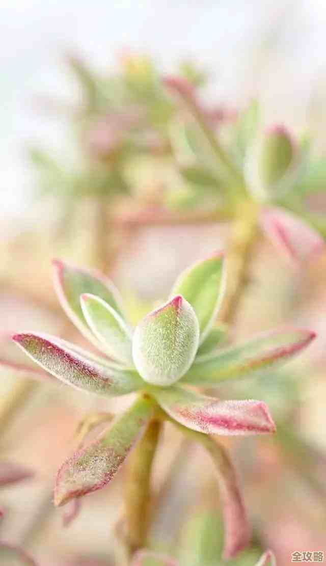 高效去除图片水印的实用方法，让图像恢复清晰自然