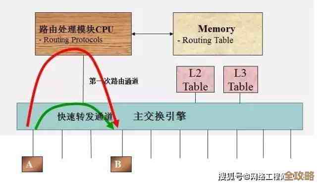 路由器与交换机：网络设备功能差异深度解析