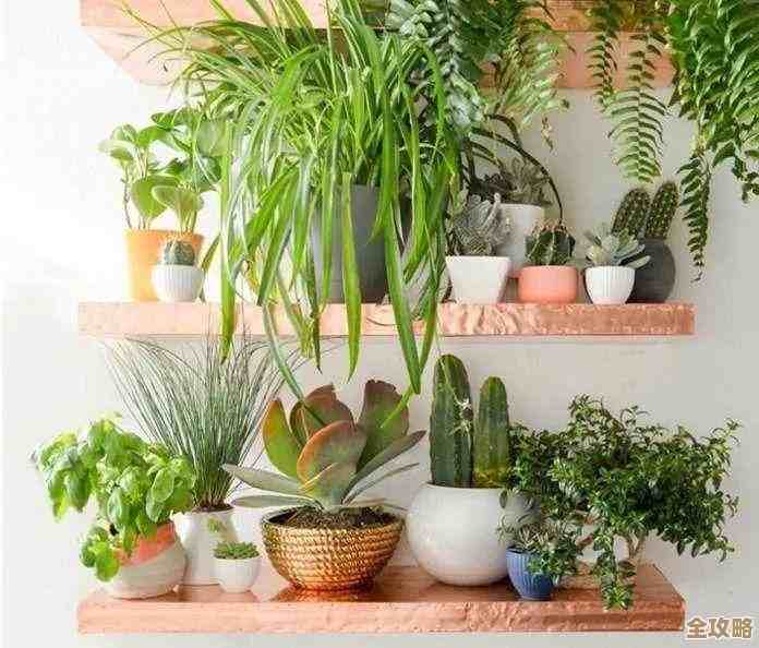 电脑运行缓慢怎么办？这些提速方法让您的设备重获新生