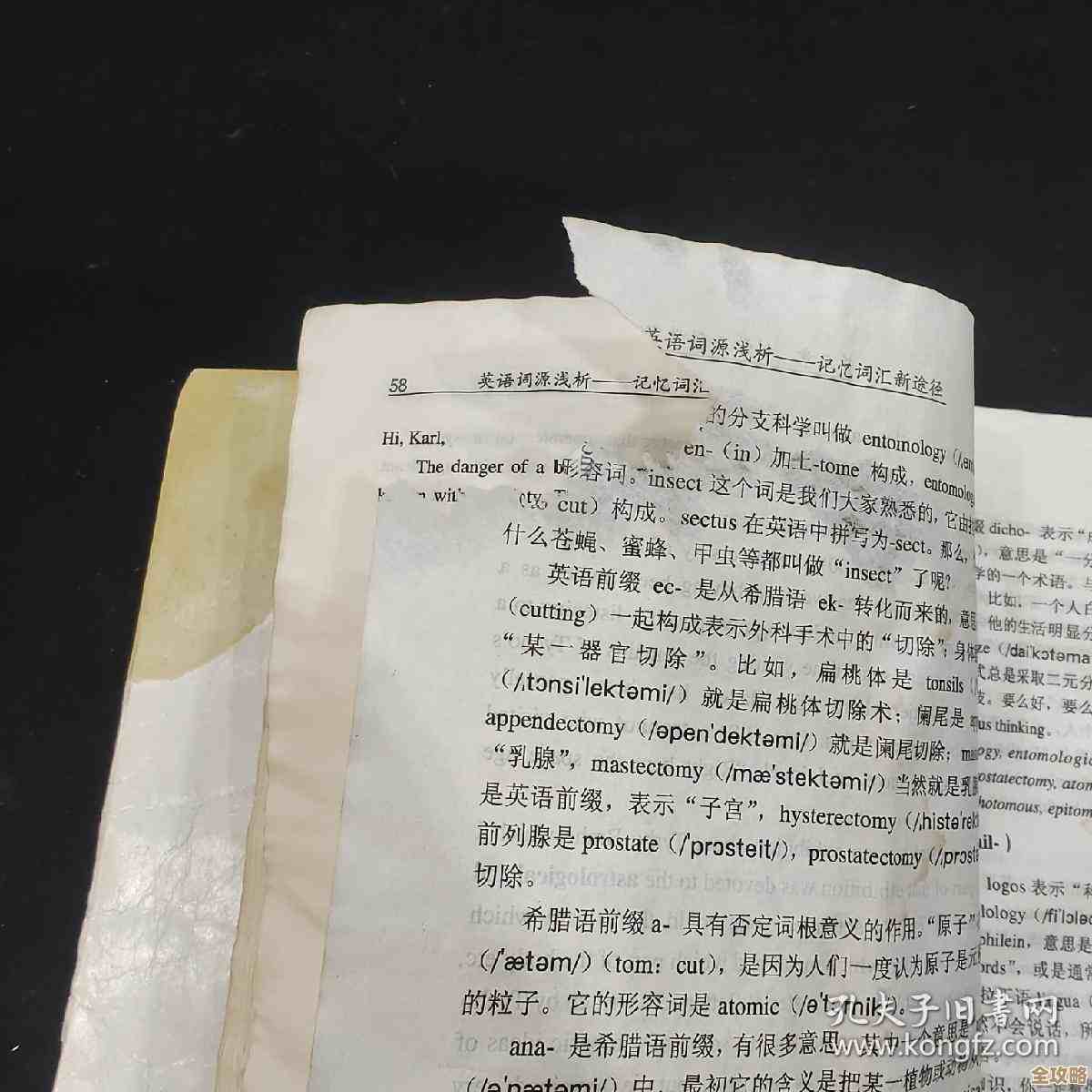 词语背景探秘：追溯词汇的起源与历史变迁之路