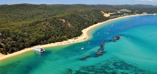 露玛外观全盘点，岛上那些造型都有什么—随便看看