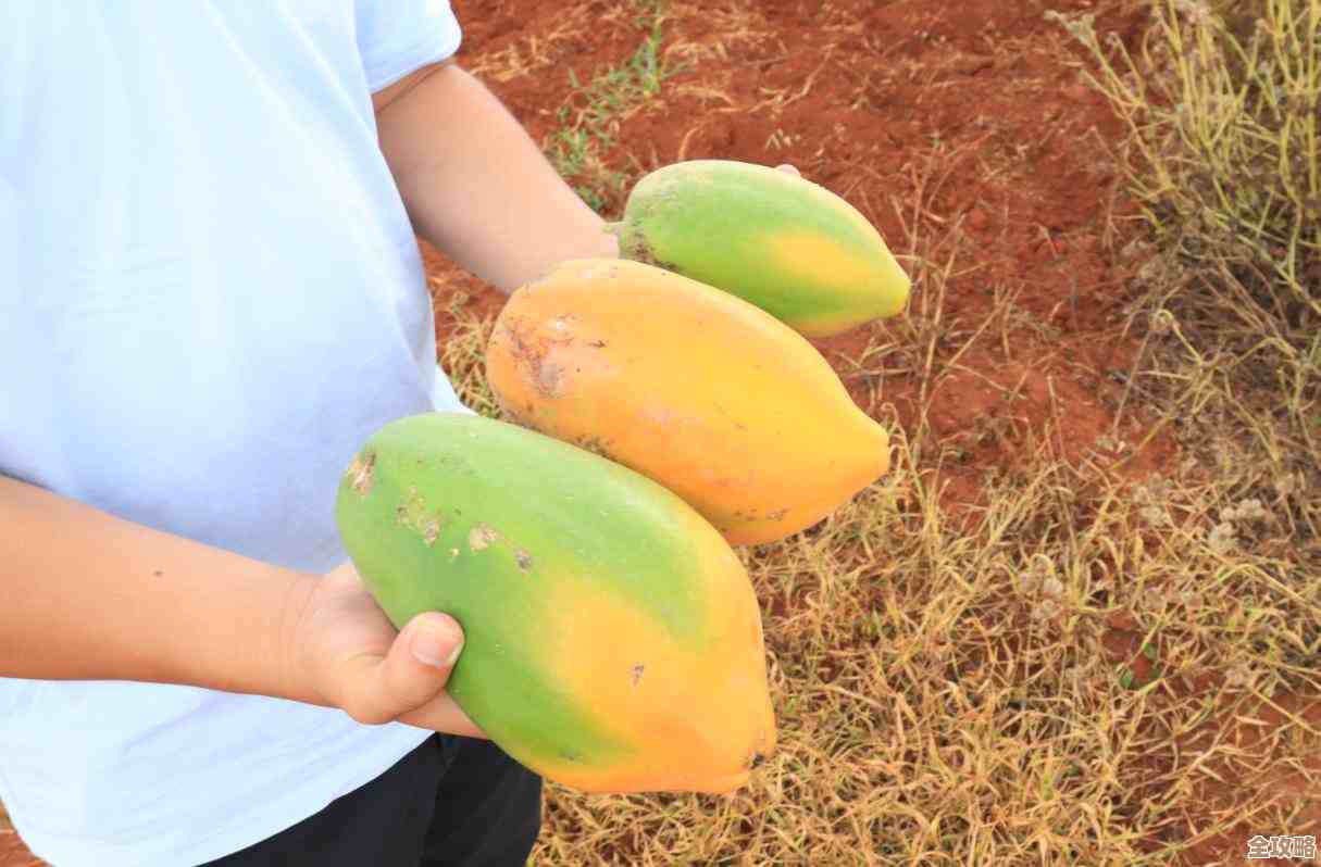 红心游戏大厅:探索精彩游戏世界,尽享欢乐时光! 红心游戏大厅:探索精彩游戏世界,尽享欢乐时光!