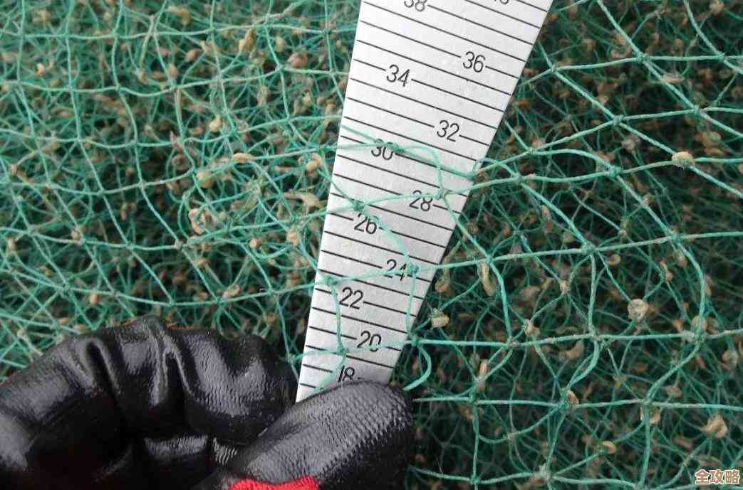 小鱼教您轻松进入路由器设置界面,详细步骤一网打尽 小鱼教您轻松进入路由器设置界面,详细步骤一网打尽