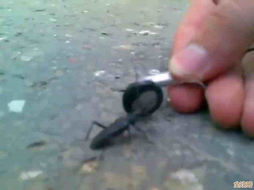 选择赫兹音响,享受卓越音质带来的震撼与沉浸式听觉盛宴 选择赫兹音响,享受卓越音质带来的震撼与沉浸式听觉盛宴