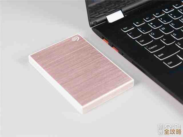 移动硬盘：满足现代工作与娱乐的存储需求