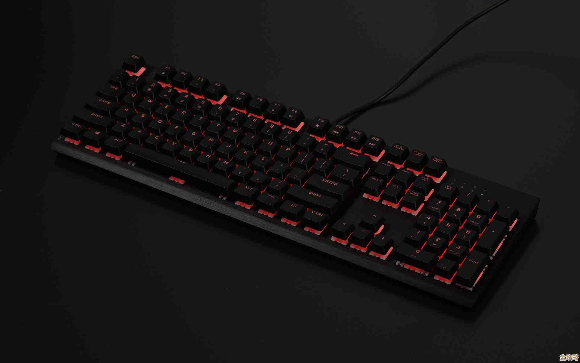 Windows 11应用程序频繁闪退问题的有效解决方案