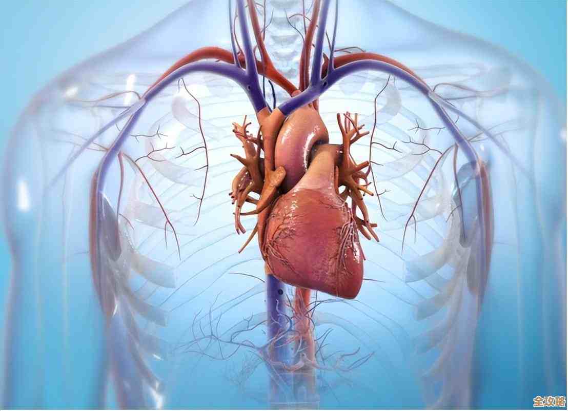 数据库编程里那些注释怎么写才算规范和实用一点吧 数据库编程里那些注释怎么写才算规范和实用一点吧