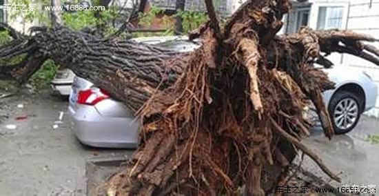 擂鼓车怎么玩才最心安？兵种搭配、阵型和那些被忽视的细节