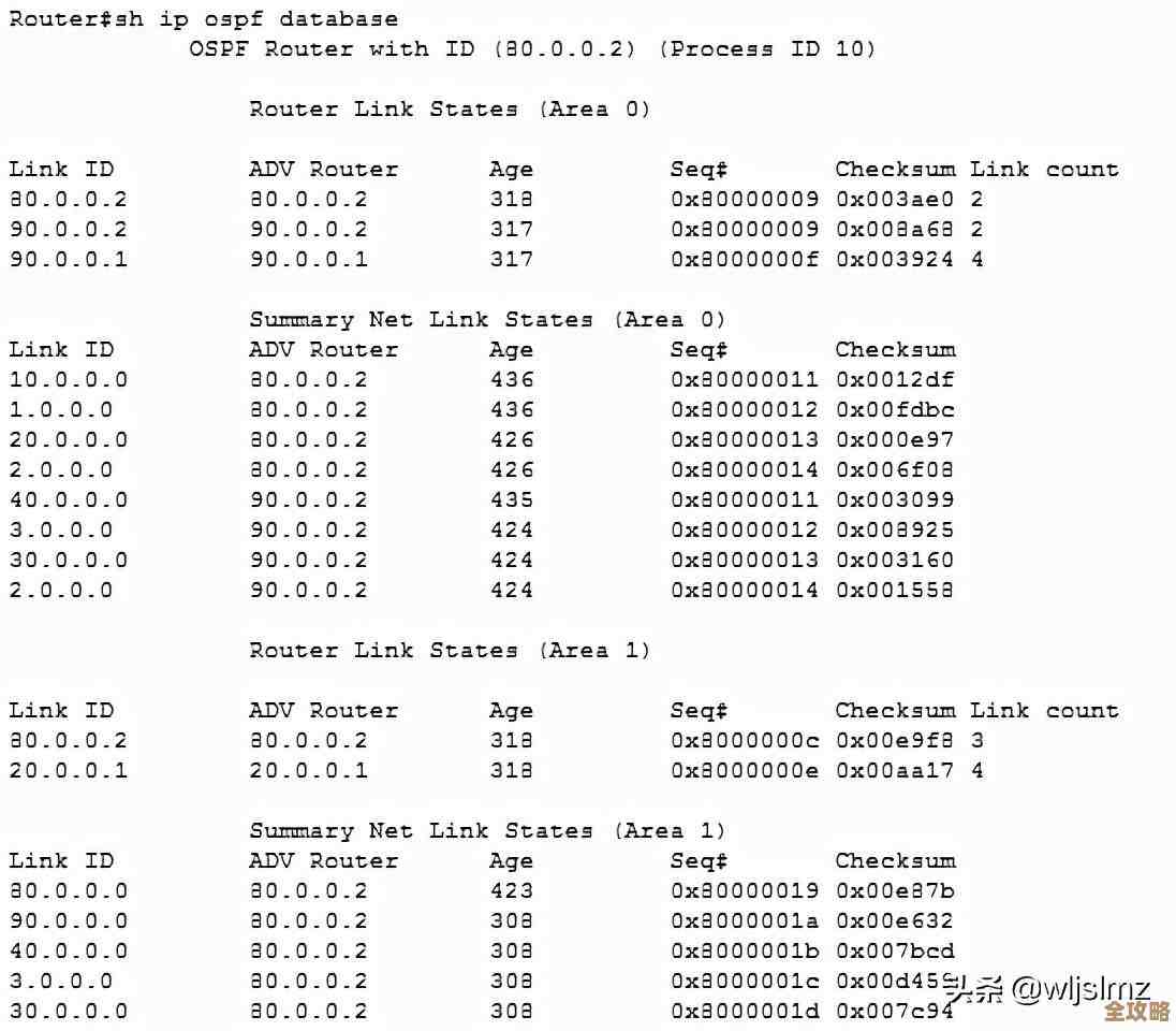 数据库连接找不到咋办？遇到这个提示别慌，教你几招快速排查解决方法