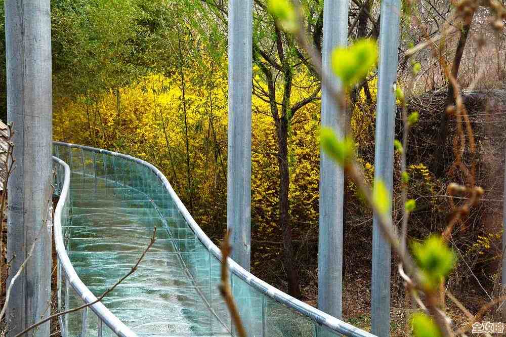 赛尔号巅峰之战无极使者那些技能和套路你可能还没看懂