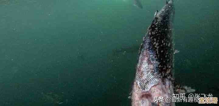 phpstudy里数据库密码改不了？教你一步步搞定修改密码的事儿