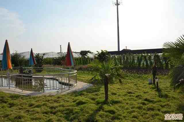 摩尔庄园手游里的丝尔特是个啥心头好？带你蹭蹭探索她的世界和小癖好