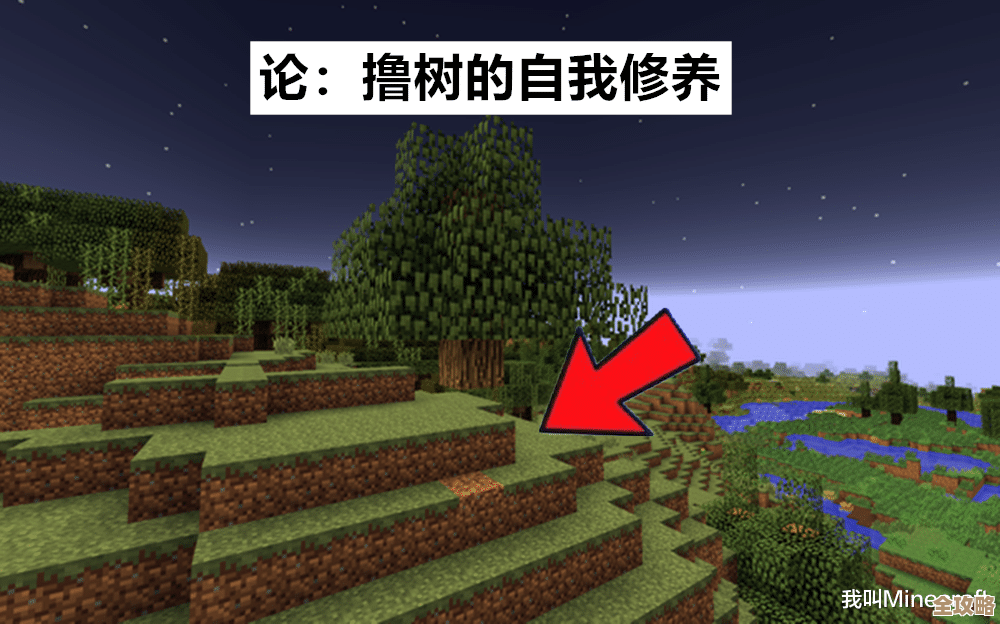 树叶云里Minecraft那个Boosting原理，好像能让游戏效率提升不少，具体怎么用还得慢慢摸索