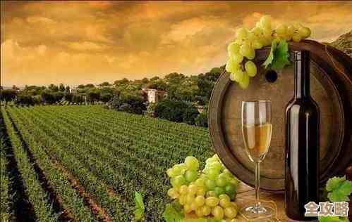 dnf哪个省最值钱，别只是看区服人口，还有交易市场差别