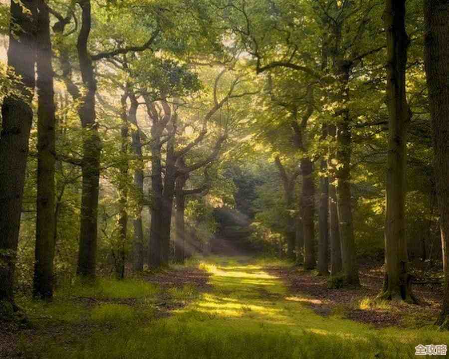 黎明飞驰驾驶时那些能救命的避撞小动作，说的不全