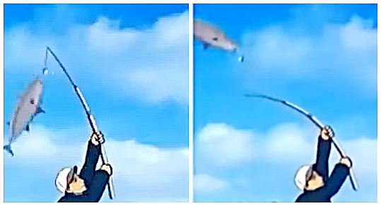 无限暖暖错位摄影钓大鱼拍照技巧，懒人也能骗到高级画面，步骤有点碎但有用