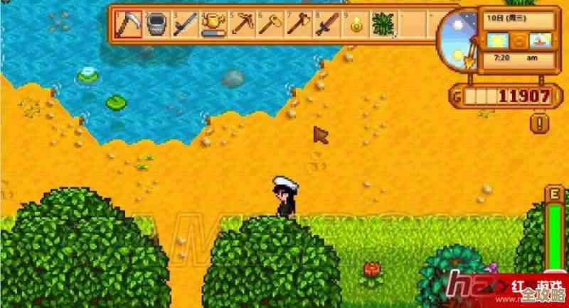 星露谷物语蘑菇树桩流上手指南，少打转多产蘑菇就靠这招…