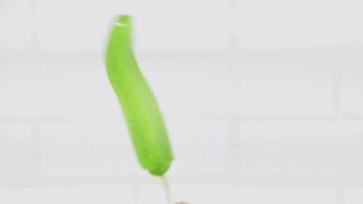 小冰冰传奇怀旧服14章通关阵容推荐，别慌按这套来就过