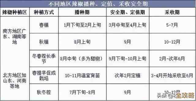 关于DB2里怎么正确拿到当前时间那些事儿，聊聊常见误区和正确姿势