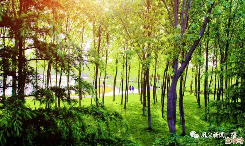 晚安森林里种植的农作物怎么收回，别急我说几招.