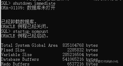 ORA-39500报错导致数据库启动关闭通知失败，远程协助修复思路分享