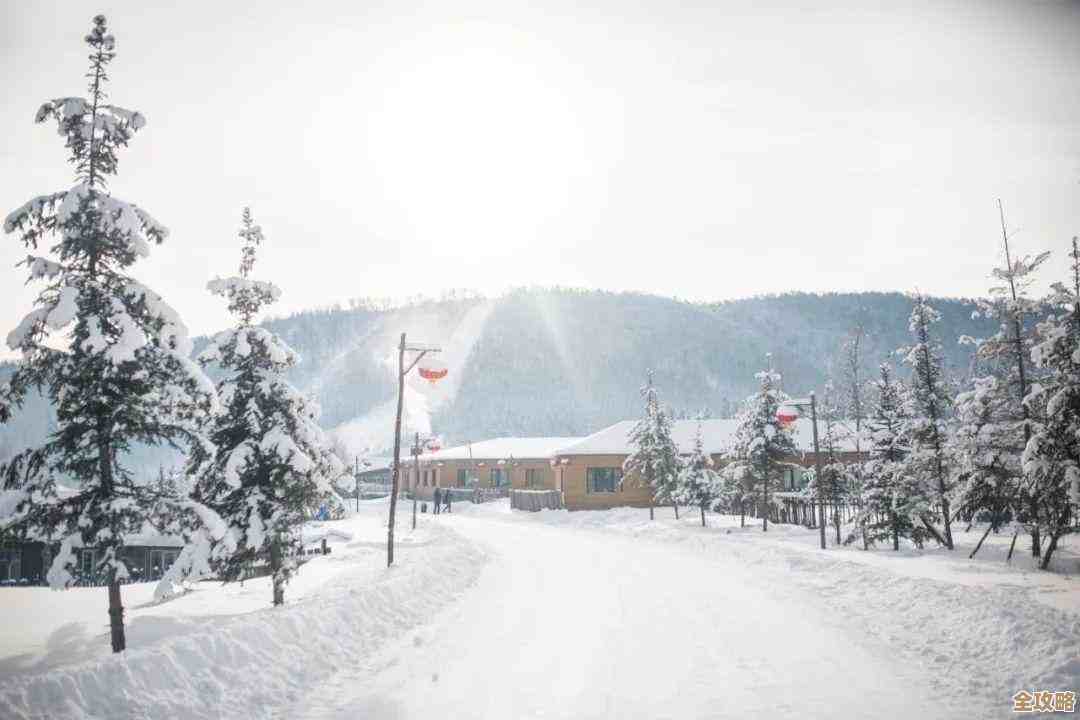 玩了几天的无尽冬日新手技巧乱记,省点心别摔跟头 玩了几天的无尽冬日新手技巧乱记,省点心别摔跟头