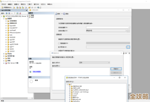 bak文件导入数据库到底咋弄，步骤和注意点分享给你看看