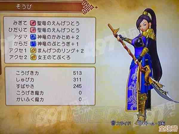 勇者斗恶龙3商人武器搭配攻略,关键装备优先级和坑位提醒,别盲选 勇者斗恶龙3商人武器搭配攻略,关键装备优先级和坑位提醒,别盲选