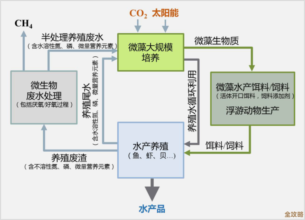 Redis绿色运行那些新玩意儿，怎么让它更环保又高效