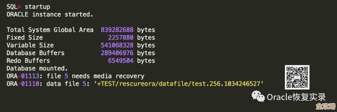 ORA-01231报错导致文件离线无法读写，远程帮忙修复故障方案分享
