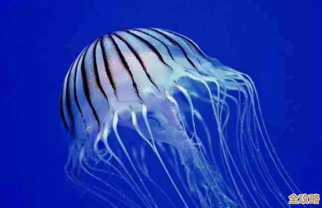 蛋仔派对咖啡水母捕捉刷新点在哪儿…先说个常见位置吧