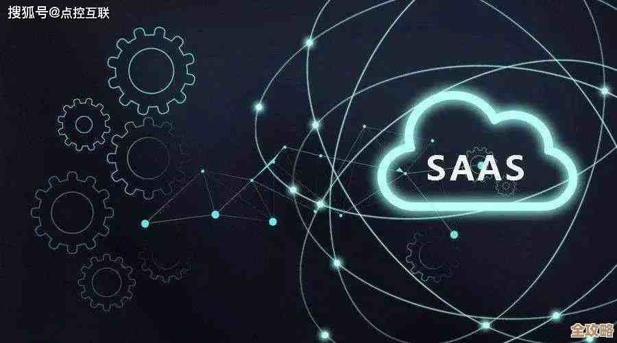 云服务各种模式都要火起来了，SaaS、IaaS还有BPaaS一起迎来大爆发