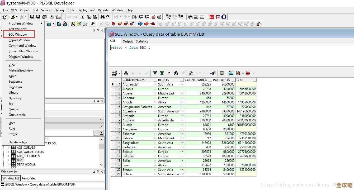用Sql Developer帮忙把写好的SQL代码搬到Oracle数据库里，过程和注意点分享
