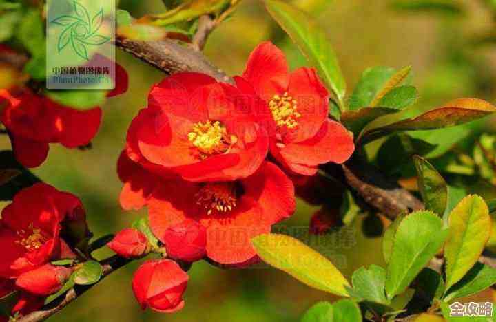 海棠小说最新直达入口在这儿，想看就别犹豫，随手点开