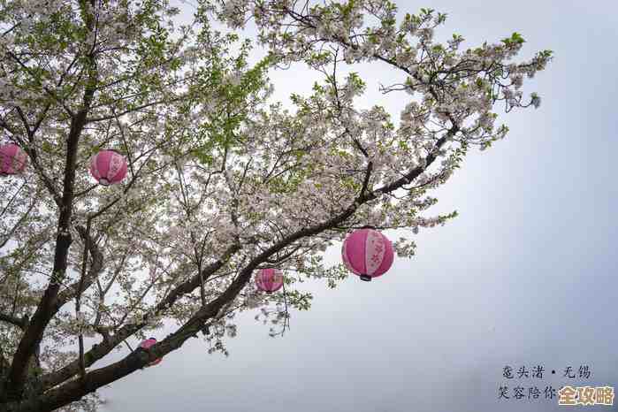 海棠小说最新直达入口在这儿，想看就别犹豫，随手点开
