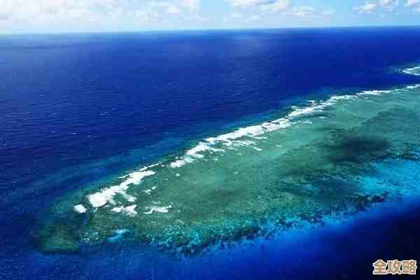 露玛岛丛林岛太古书籍藏哪儿了走位去找别错过 露玛岛丛林岛太古书籍藏哪儿了走位去找别错过