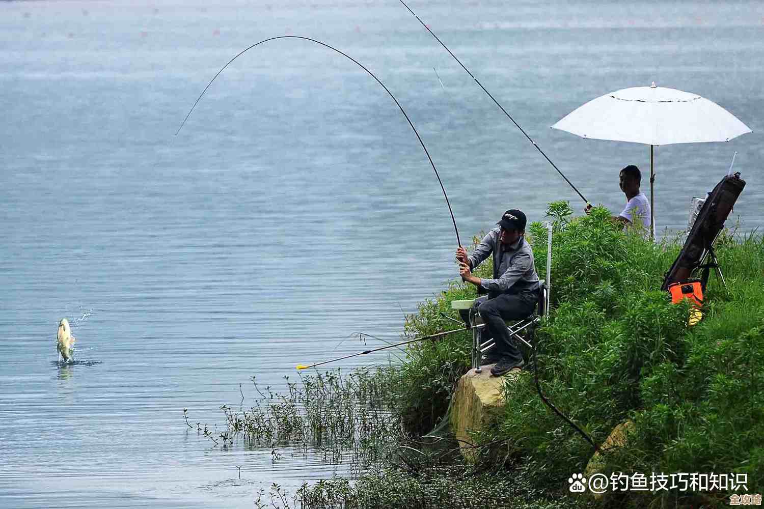 江湖里我和太湖钓鱼的那些事儿，钓鱼技巧和财富秘籍还在摸索