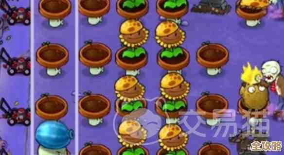 植物大战僵尸杂交版泳池第9关，阵容随便摆摆就能过？