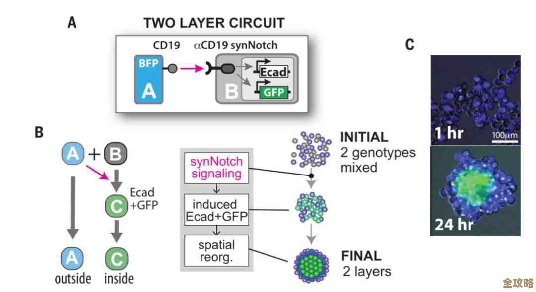 DB2数据库跨平台迁移那些容易忽视但又挺重要的问题和坑