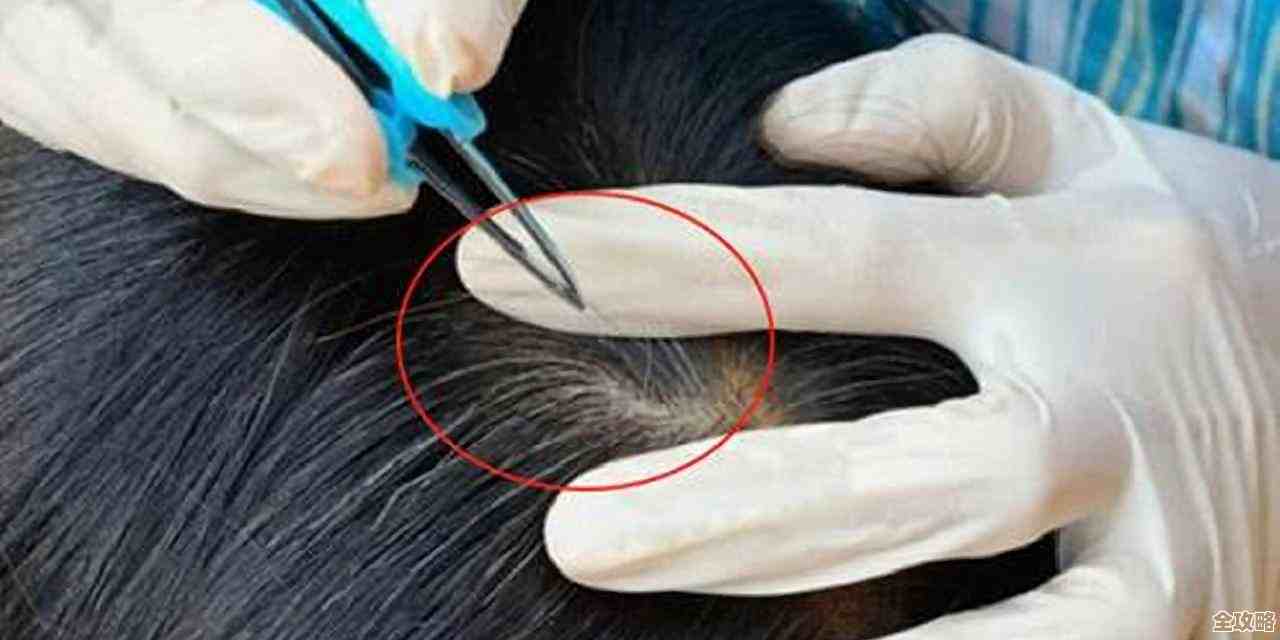 拔掉一根白发会不会瞬间冒出十根啊,真有这么恐怖吗… 拔掉一根白发会不会瞬间冒出十根啊,真有这么恐怖吗…