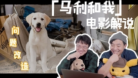 想入手罪心宠物？手把手教你刷点数和掉落套路