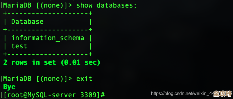 说说那个SA数据库默认密码到底啥，别告诉我你还不知道？