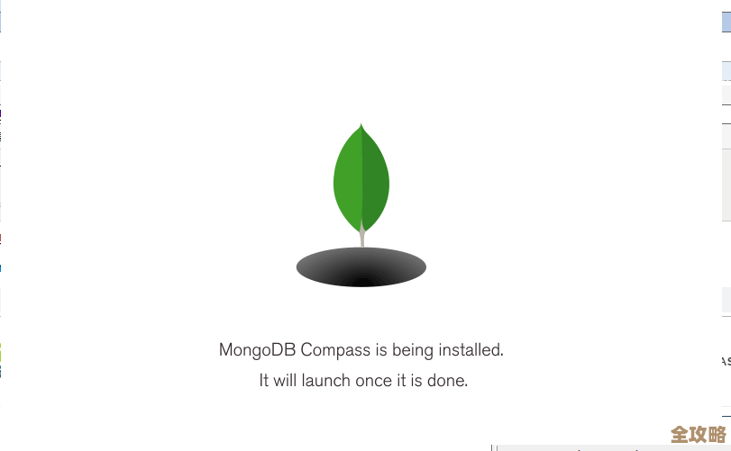 树叶云教你在Windows上搞定MongoDB安装，简单又实用的步骤分享