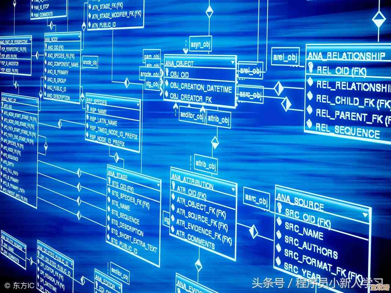 Mongo数据库更新那些事儿，怎么快速搞定提升存储效率不慌乱