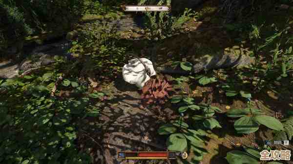 天国拯救2大量颠茄怎么搞来着？采集地点和小技巧