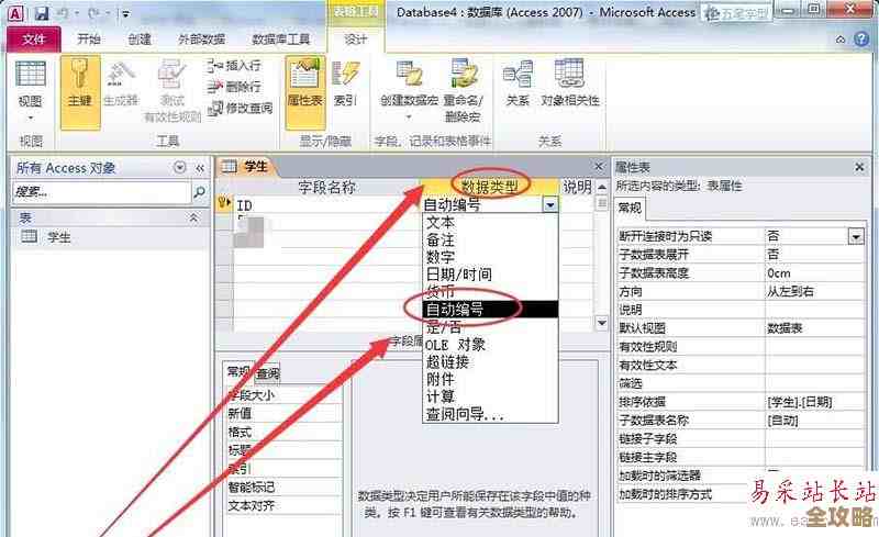 Access数据库里自动编号怎么用，功能和步骤全讲解给你看